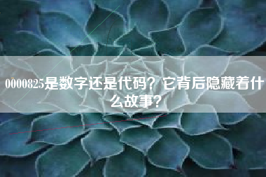 0000825是数字还是代码？它背后隐藏着什么故事？