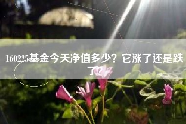160225基金今天净值多少?它涨了还是跌了?