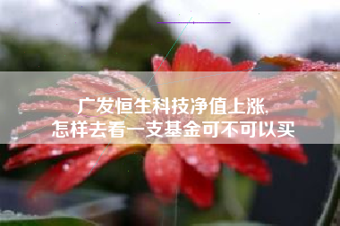 广发恒生科技净值上涨,
怎样去看一支基金可不可以买