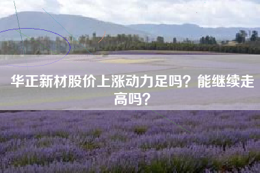 华正新材股价上涨动力足吗？能继续走高吗？