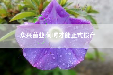 众兴菌业,何时才能正式投产