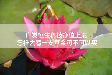 广发恒生科技净值上涨,
怎样去看一支基金可不可以买