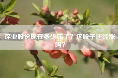 锌业股份现在多少钱了？这股子还能涨吗？