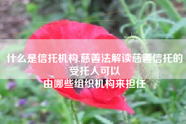 什么是信托机构,慈善法解读慈善信托的受托人可以
由哪些组织机构来担任 什么是信托机构,慈善法解读慈善信托的受托人可以
由哪些组织机构来担任