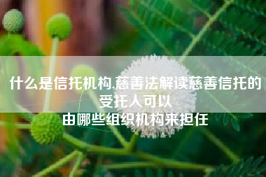 什么是信托机构,慈善法解读慈善信托的受托人可以
由哪些组织机构来担任 什么是信托机构,慈善法解读慈善信托的受托人可以
由哪些组织机构来担任