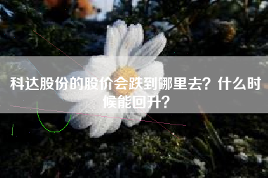 科达股份的股价会跌到哪里去？什么时候能回升？