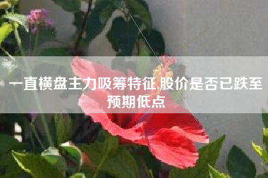 一直横盘主力吸筹特征,股价是否已跌至预期低点