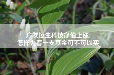 广发恒生科技净值上涨,
怎样去看一支基金可不可以买