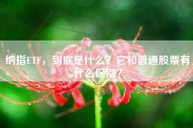 纳指ETF，到底是什么？它和普通股票有什么区别？