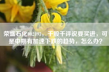 荣盛石化002493，千股千评说要买进，可是中期有加速下跌的趋势，怎么办？