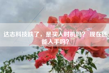 达志科技跌了，是买入时机吗？ 现在还能入手吗？