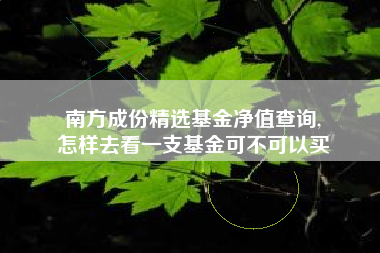 南方成份精选基金净值查询,
怎样去看一支基金可不可以买