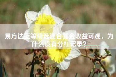 易方达蓝筹精选混合基金收益可观，为什么没有分红记录？