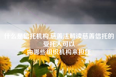 什么是信托机构,慈善法解读慈善信托的受托人可以
由哪些组织机构来担任 什么是信托机构,慈善法解读慈善信托的受托人可以
由哪些组织机构来担任