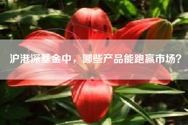 沪港深基金中,哪些产品能跑赢市场?