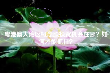 粤港澳大湾区概念股投资机会在哪？如何才能抓住？