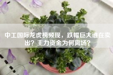 中工国际龙虎榜频现，跌幅巨大谁在卖出？主力资金为何离场？