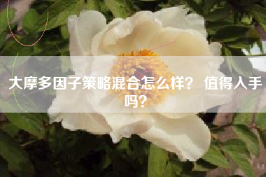 大摩多因子策略混合怎么样？ 值得入手吗？