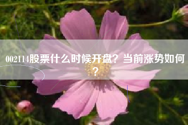 002114股票什么时候开盘？当前涨势如何？