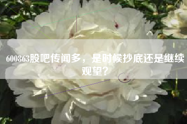 600863股吧传闻多，是时候抄底还是继续观望？