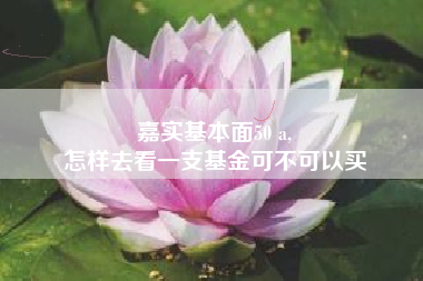 嘉实基本面50 a,
怎样去看一支基金可不可以买