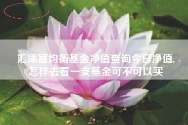 汇添富均衡基金净值查询今日净值,
怎样去看一支基金可不可以买