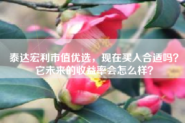 泰达宏利市值优选，现在买入合适吗？它未来的收益率会怎么样？