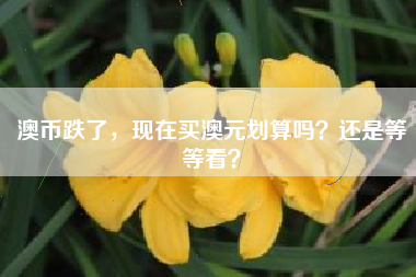 澳币跌了,现在买澳元划算吗?还是等等看?