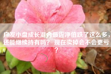 广发小盘成长混合最近净值跌了这么多,还能继续持有吗? 现在卖掉会不会更亏?