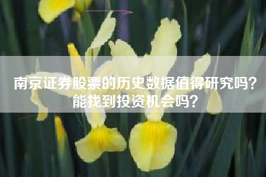 南京证券股票的历史数据值得研究吗？能找到投资机会吗？