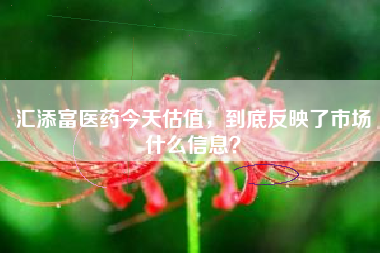汇添富医药今天估值，到底反映了市场什么信息？