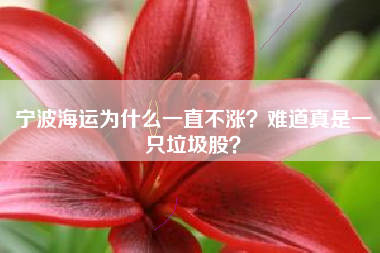 宁波海运为什么一直不涨?难道真是一只垃圾股?