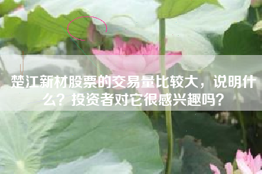 楚江新材股票的交易量比较大，说明什么？投资者对它很感兴趣吗？