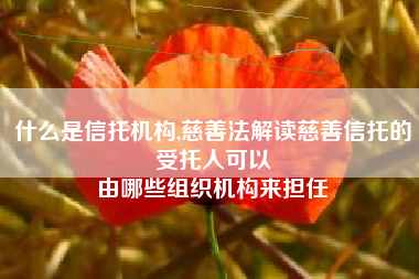 什么是信托机构,慈善法解读慈善信托的受托人可以
由哪些组织机构来担任 什么是信托机构,慈善法解读慈善信托的受托人可以
由哪些组织机构来担任