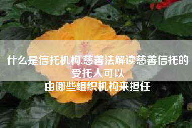 什么是信托机构,慈善法解读慈善信托的受托人可以
由哪些组织机构来担任 什么是信托机构,慈善法解读慈善信托的受托人可以
由哪些组织机构来担任