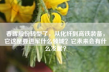 春晖股份转型了，从化纤到高铁装备，它这是要进军什么领域？它未来会有什么发展？