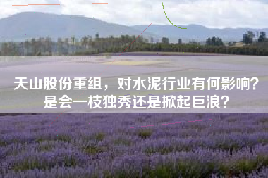 天山股份重组，对水泥行业有何影响？是会一枝独秀还是掀起巨浪？