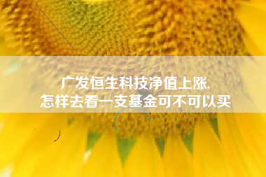 广发恒生科技净值上涨,
怎样去看一支基金可不可以买