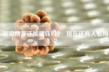 新浪博客还能赚钱吗? 现在还有人看吗?