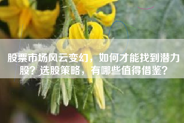 股票市场风云变幻，如何才能找到潜力股？选股策略，有哪些值得借鉴？