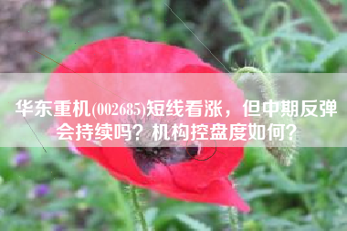 华东重机(002685)短线看涨，但中期反弹会持续吗？机构控盘度如何？