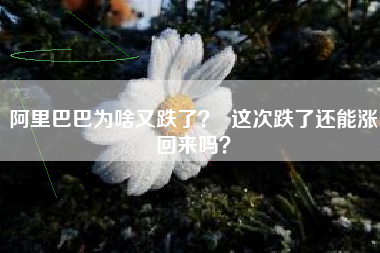 阿里巴巴为啥又跌了？  这次跌了还能涨回来吗？