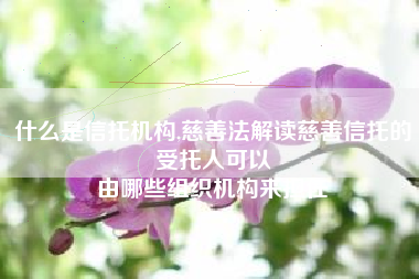 什么是信托机构,慈善法解读慈善信托的受托人可以
由哪些组织机构来担任 什么是信托机构,慈善法解读慈善信托的受托人可以
由哪些组织机构来担任