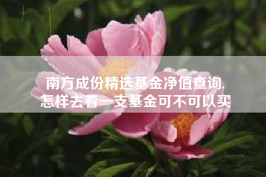 南方成份精选基金净值查询,
怎样去看一支基金可不可以买