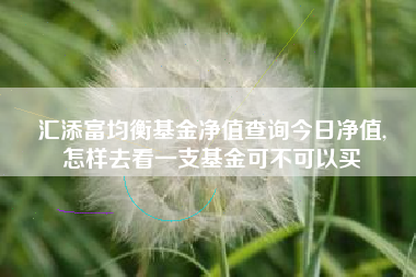 汇添富均衡基金净值查询今日净值,
怎样去看一支基金可不可以买