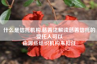 什么是信托机构,慈善法解读慈善信托的受托人可以
由哪些组织机构来担任 什么是信托机构,慈善法解读慈善信托的受托人可以
由哪些组织机构来担任