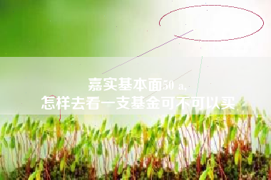 嘉实基本面50 a,
怎样去看一支基金可不可以买
