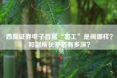 西部证券电子首席“罢工”是闹哪样？和副所长矛盾有多深？