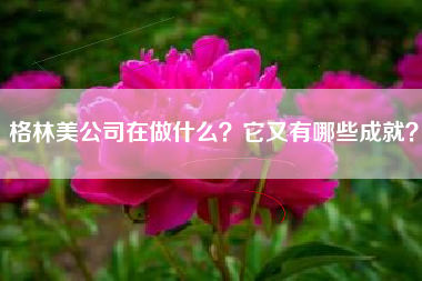 格林美公司在做什么？它又有哪些成就？
