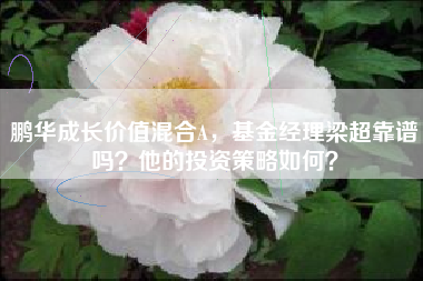 鹏华成长价值混合A，基金经理梁超靠谱吗？他的投资策略如何？